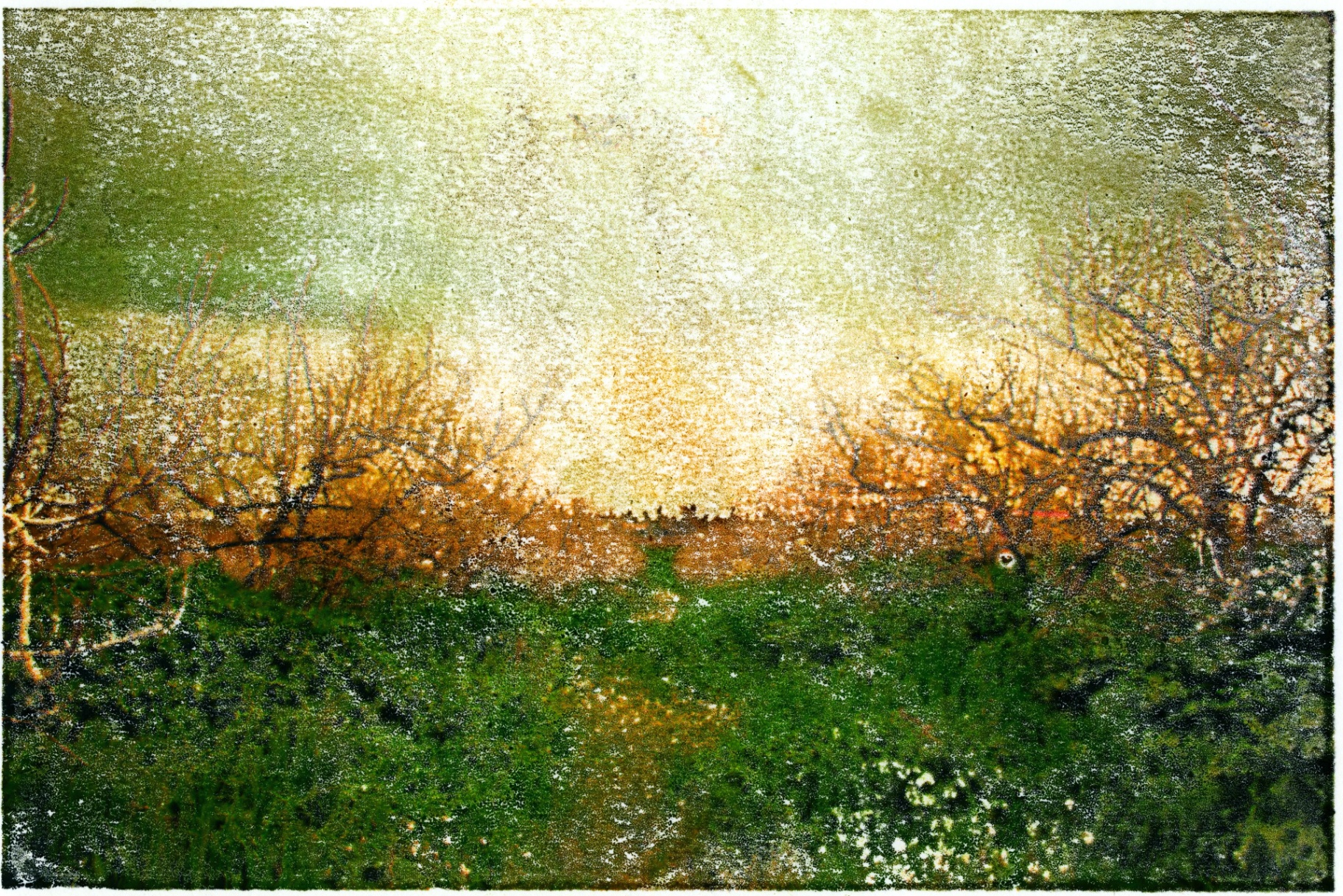 GOLDEN LANDSCAPE