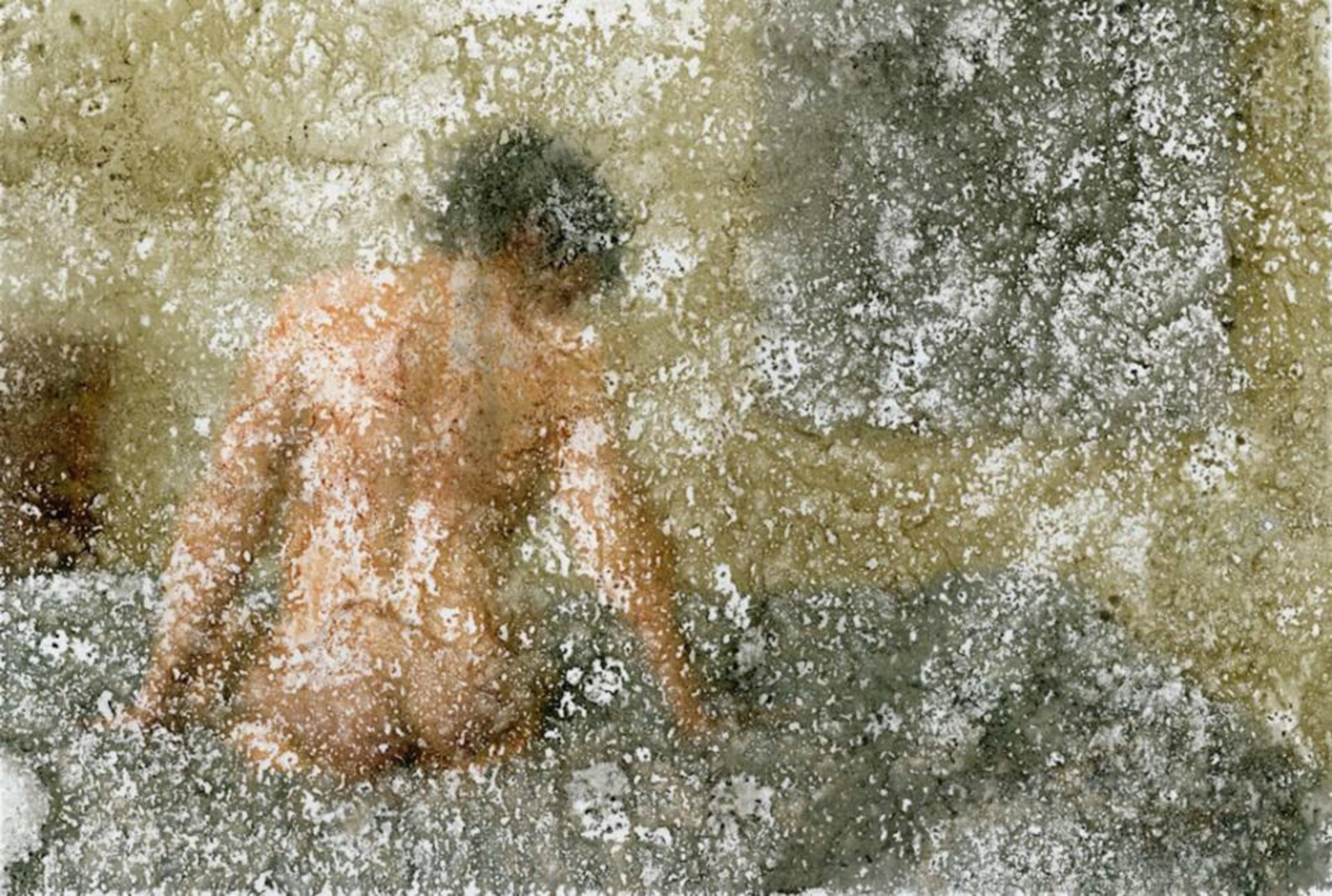 ORGANIC TEXTURES II