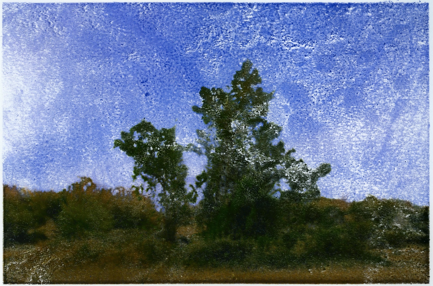 CELESTIAL TREES