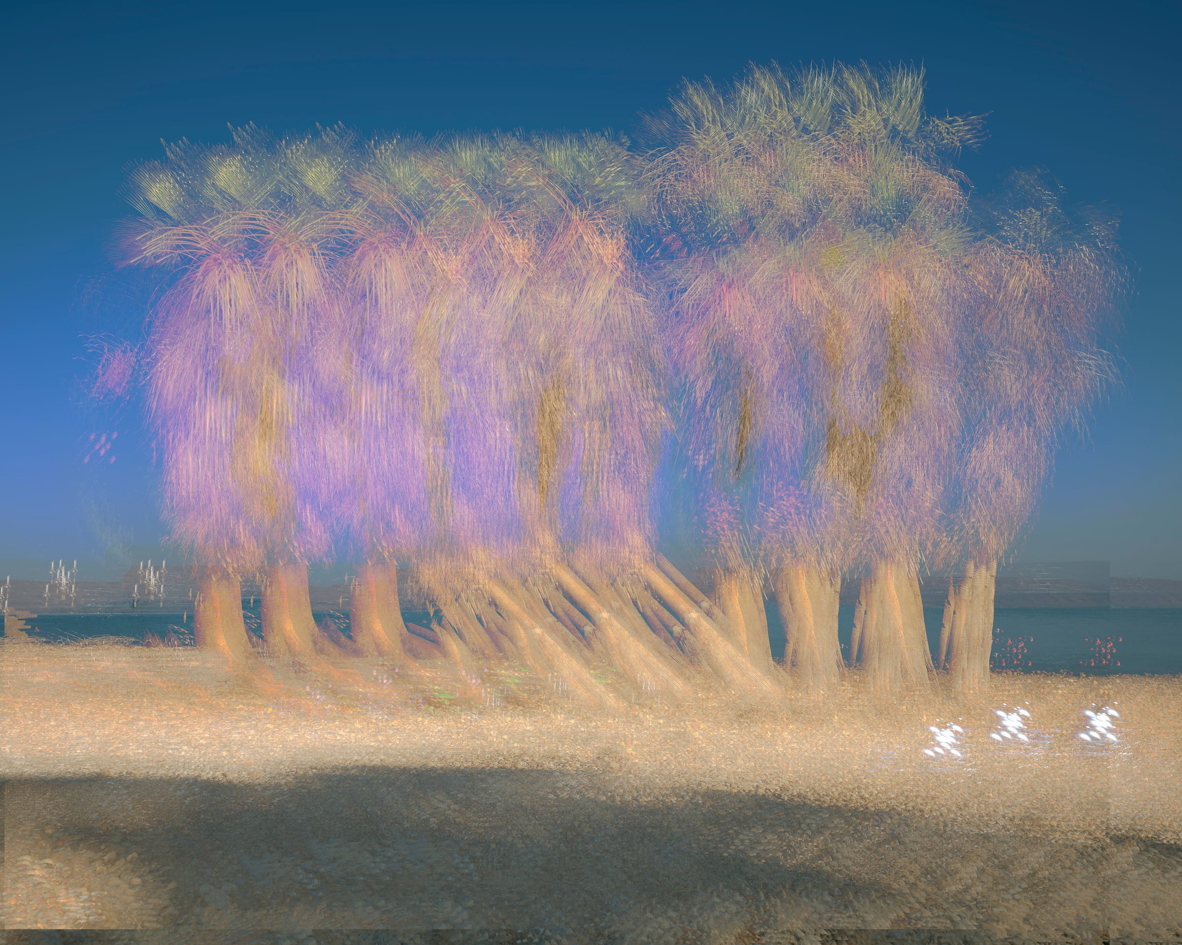A DIALOGUE WITH LIGHT XII